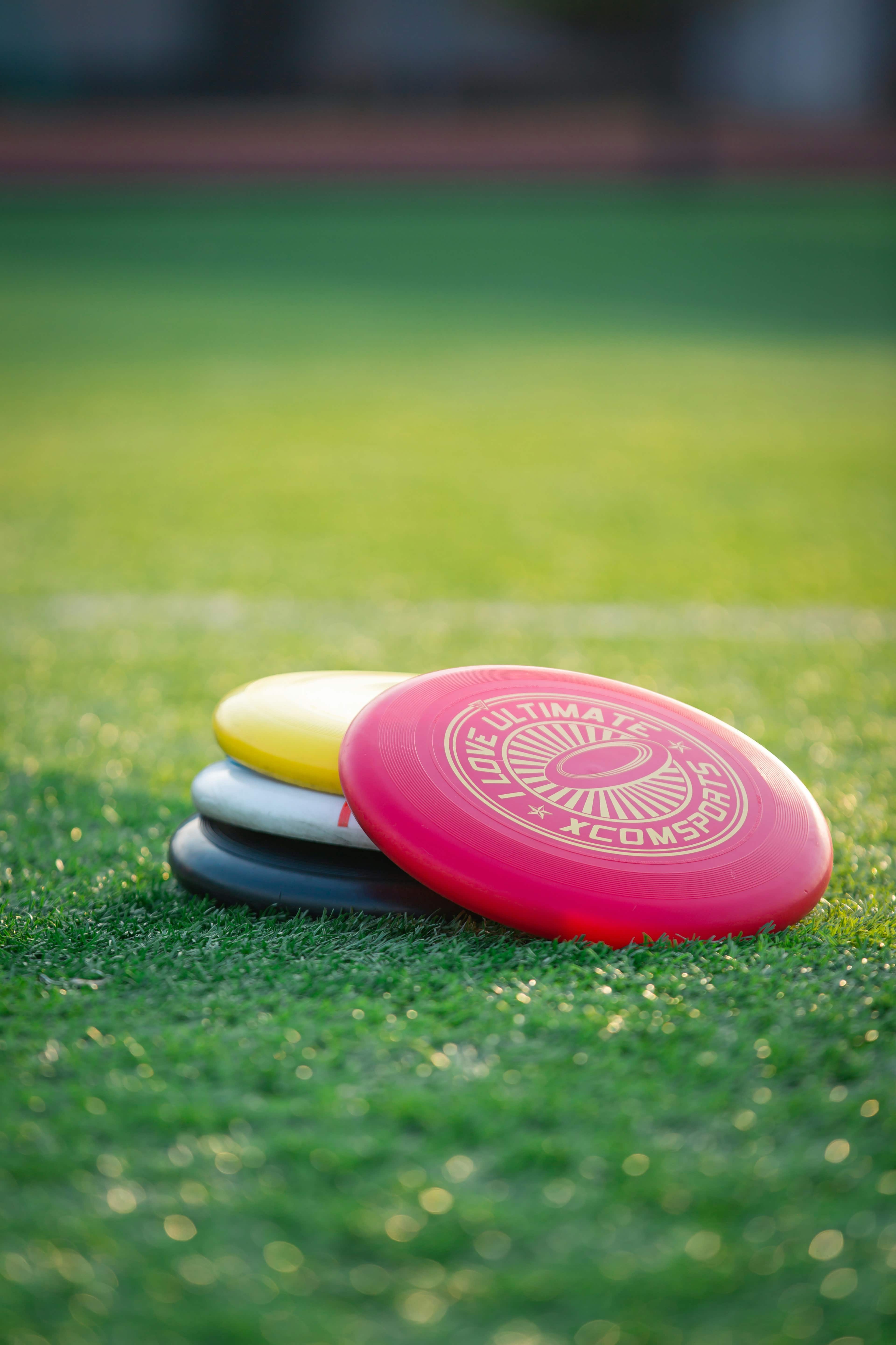 Frisbee professional photography
